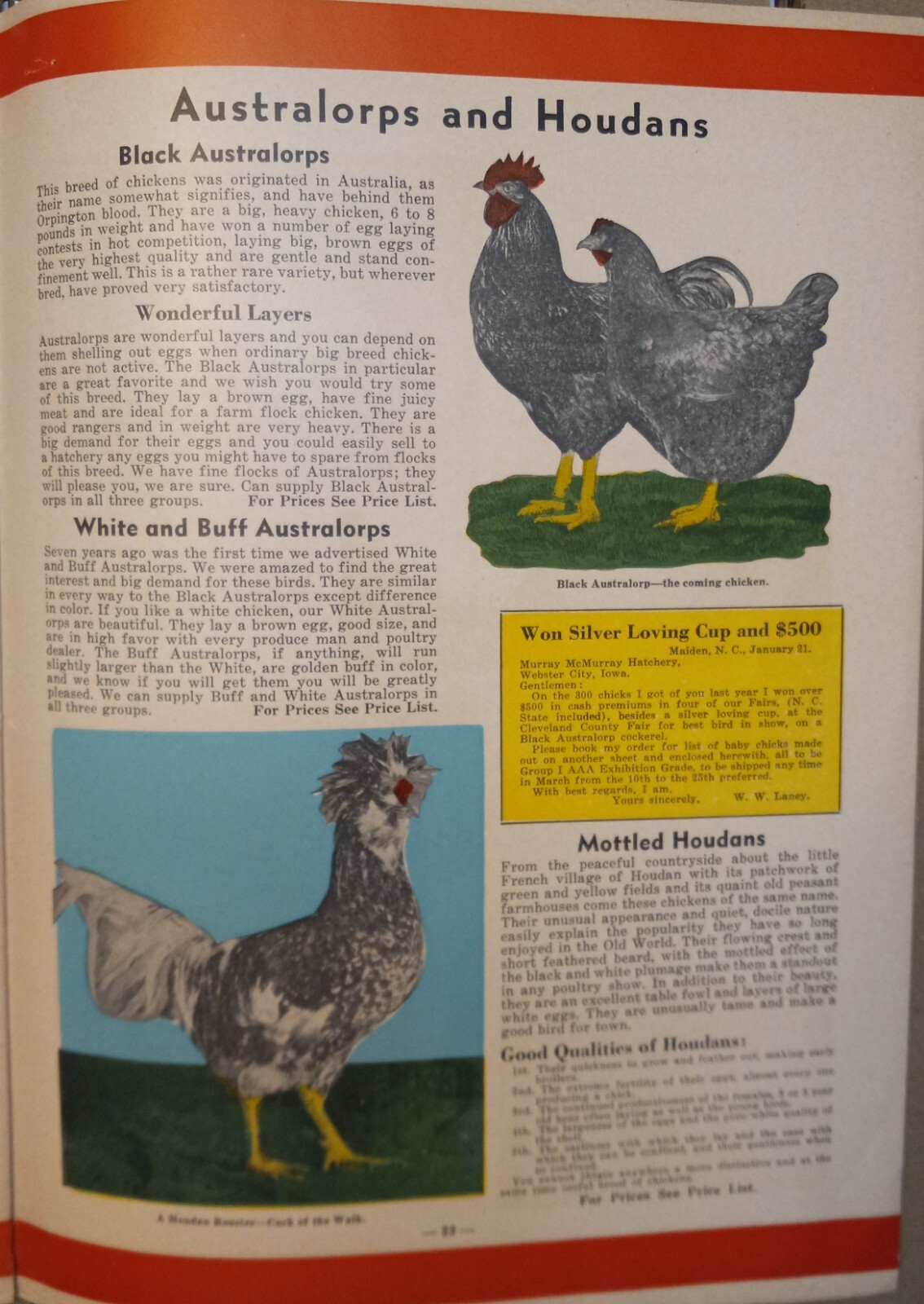 Vtg 1944 Murray McMurray Hatchery Webster City Ia Catalog Order Form Price List