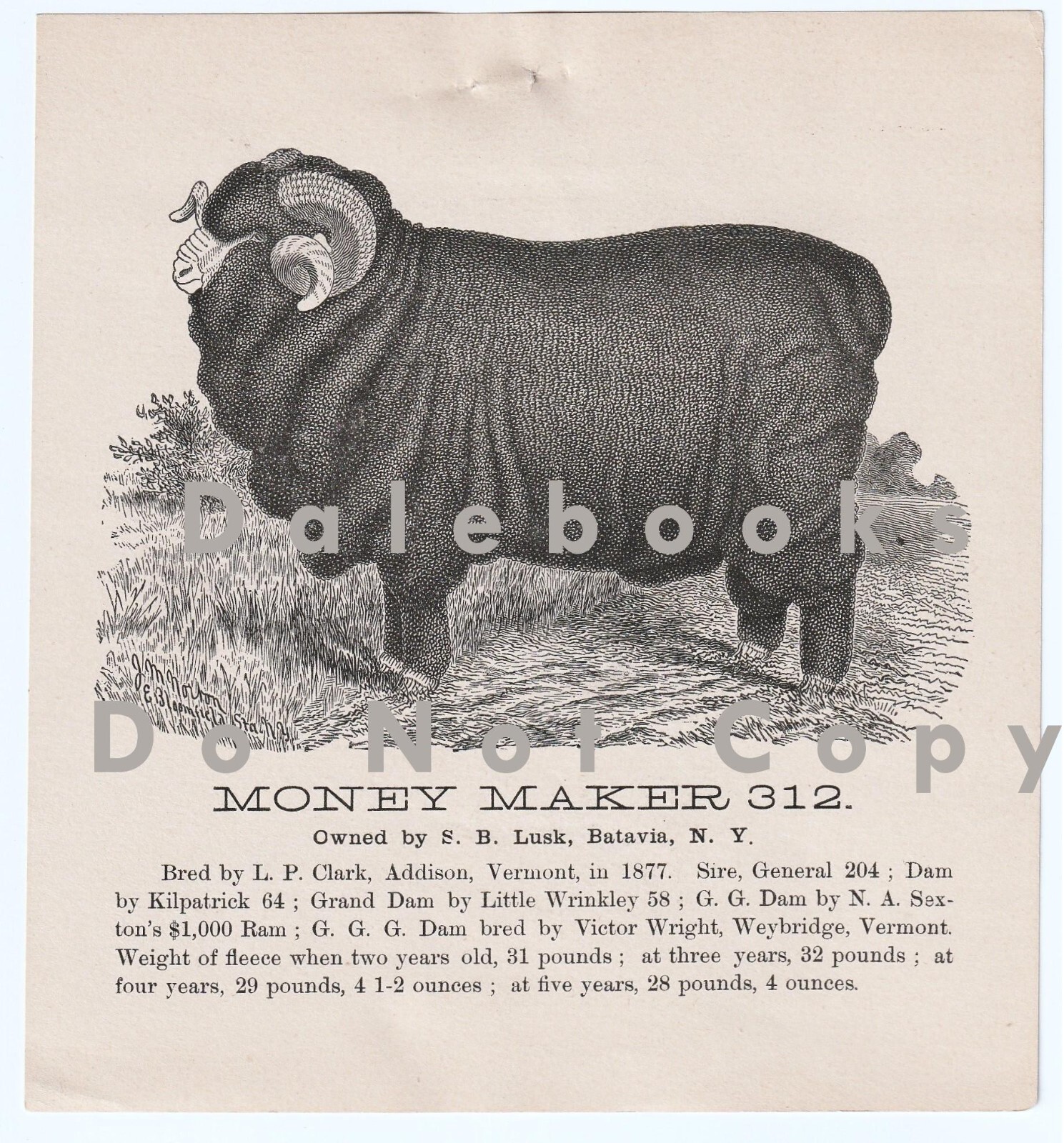 SUPER Advertising Flyer Leaflet- « Money Maker » Horn Sheep Ram – 1880 Batavia NY
