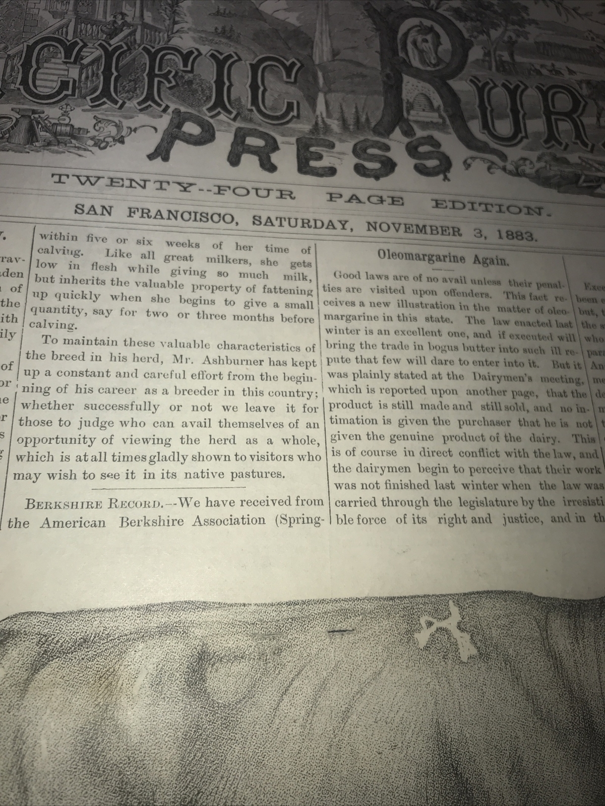 1883 Baden Farm Short Cow Advertising & Article – San Mateo County California