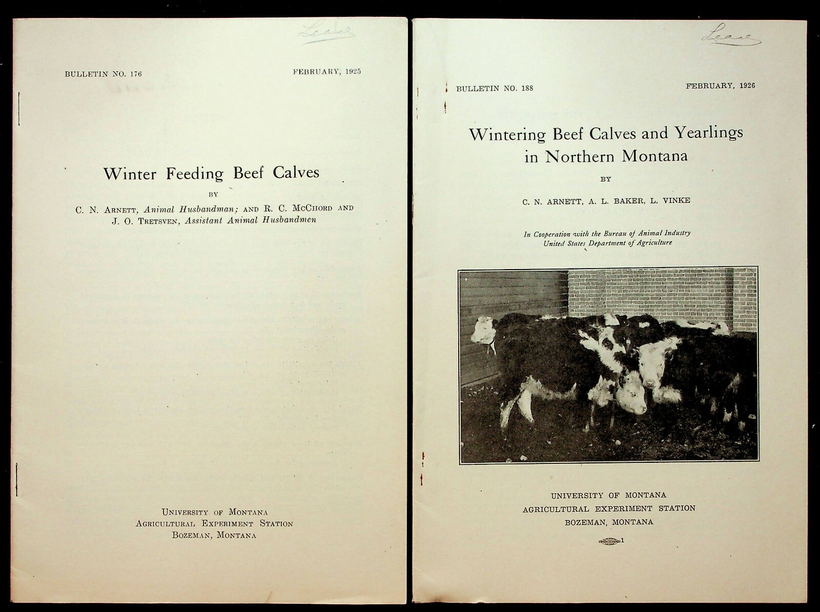Vintage University Of Montana And State College Agricultural Bulletins USDA Beef