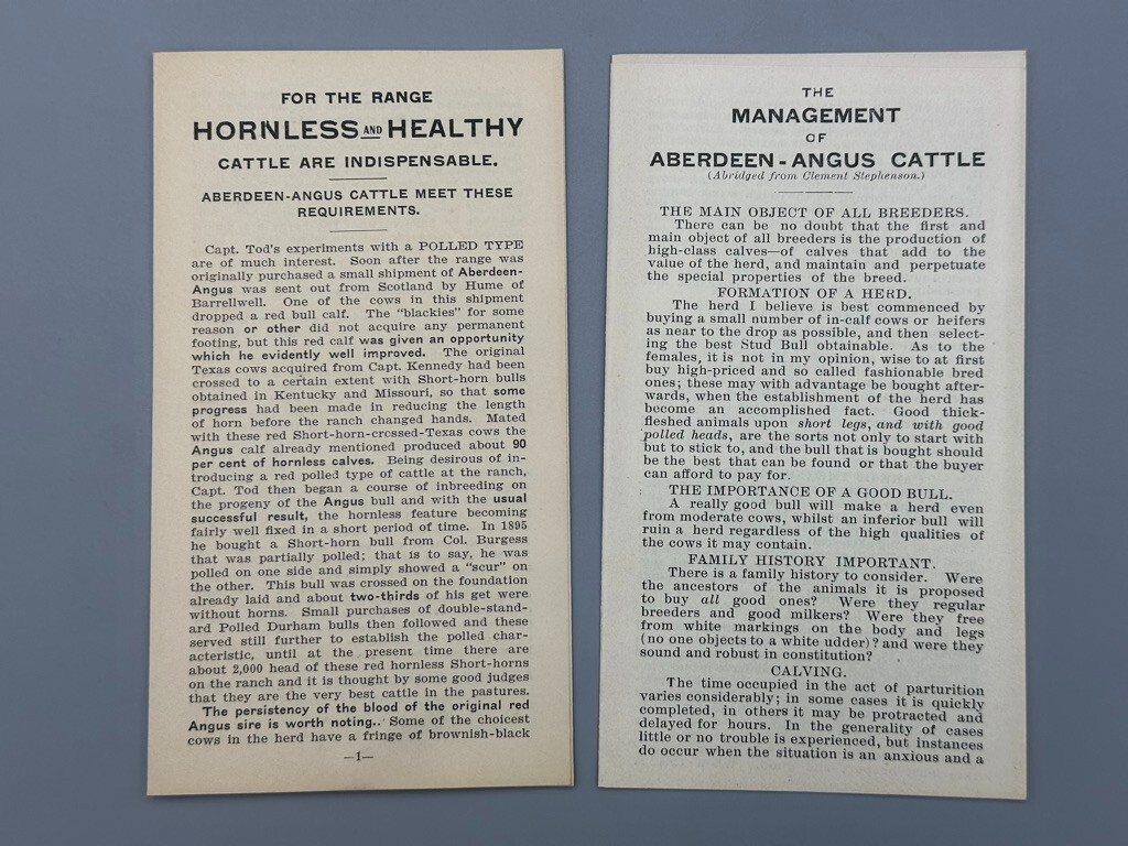 1904 ABERDEEN ANGUS CATTLE Farm IOWA STATE FAIR Advertising Brochures