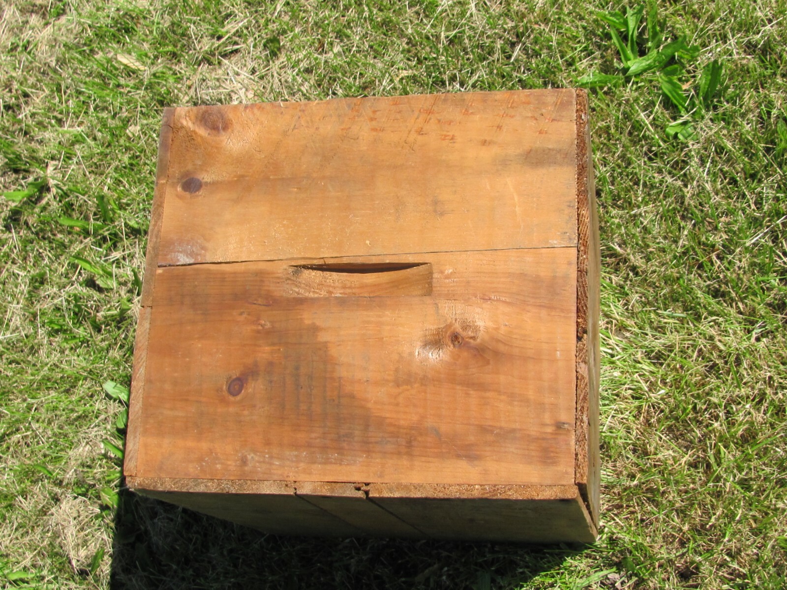 VTG DeLAVAL MILK CREAM SEPARATOR MACHINE OIL CAN WOOD SHIPPING BOX EL PASO IL