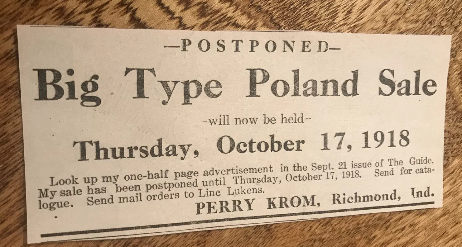 ORIGINAL 1918 Sow Public Sale – Richmond – Indiana – Farm Advertising – Hog Pig