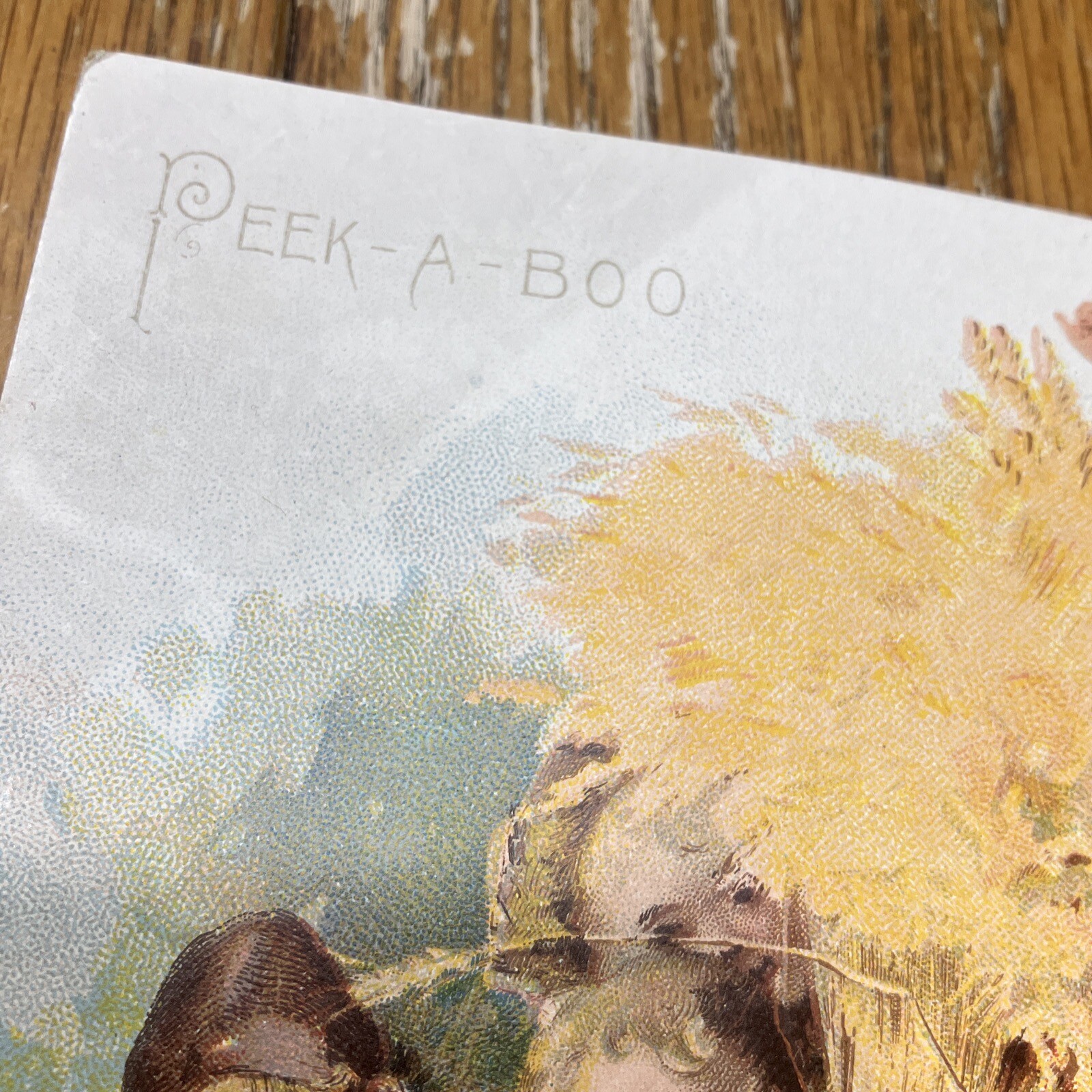 Antique 1896 Advertising Calendar Walter A. Wood Agriculture Farm Peek A Boo Kid