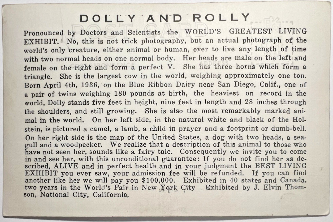 Dolly Two-Headed Cow 1939 NEW YORK WORLDS FAIR Photo Card 6E