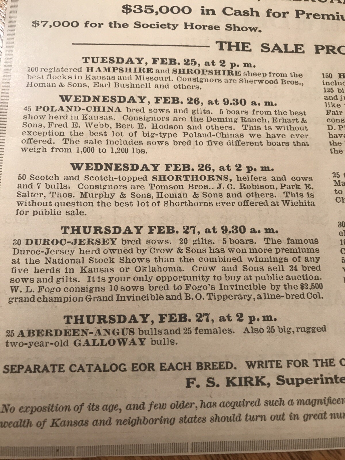 1919 Cattle Livestock Public Sale – Wichita – Kansas – Cow Advertising
