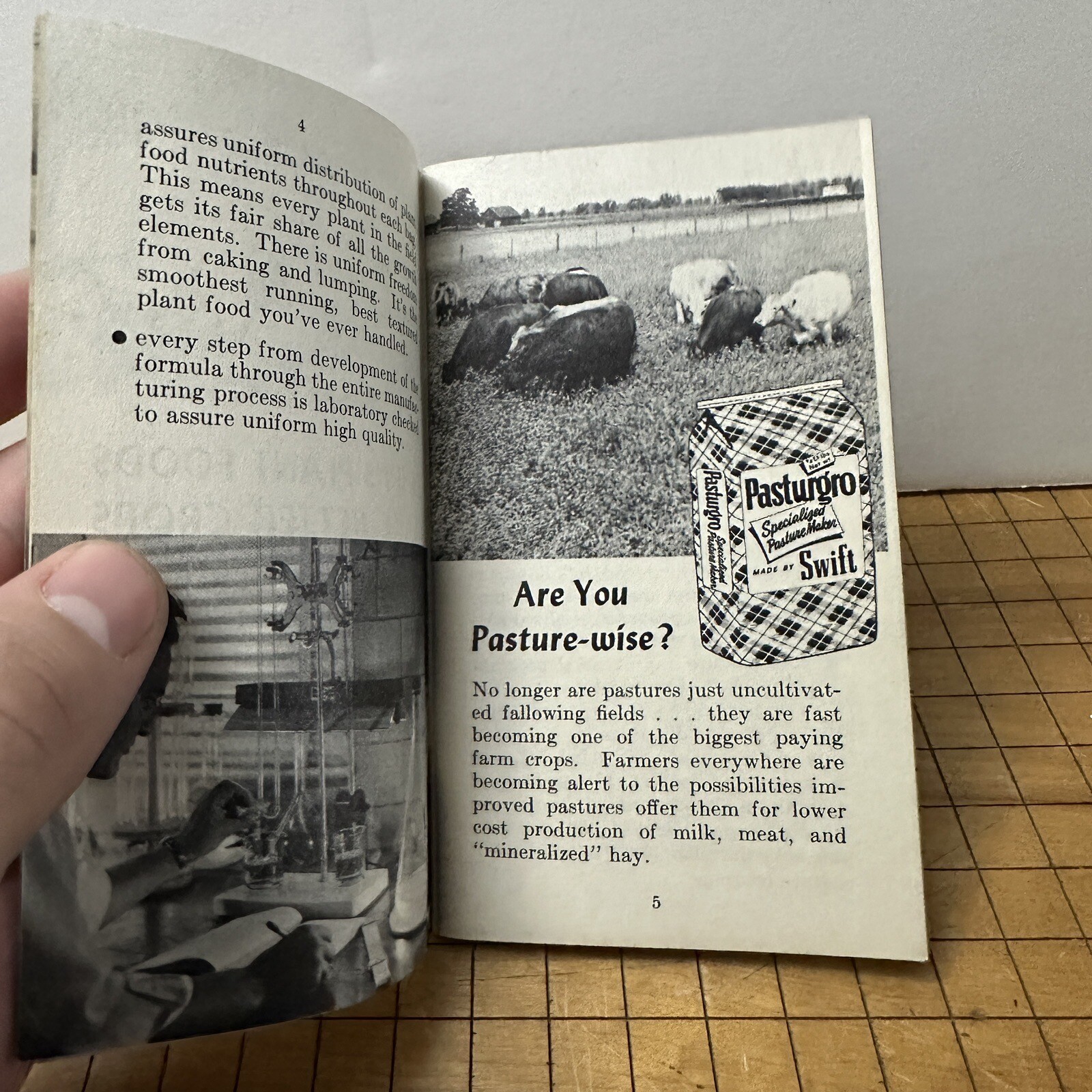 Vintage Advertising Swift&rsquo;s Plant Food Service Red Steer Memo Book
