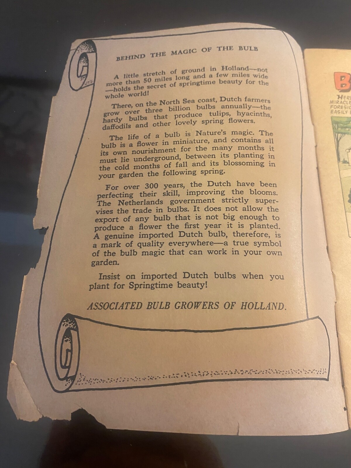 Vintage Ephemera – 1956 Bulb Magic Pamphlet – Bulb Growers Of Holland