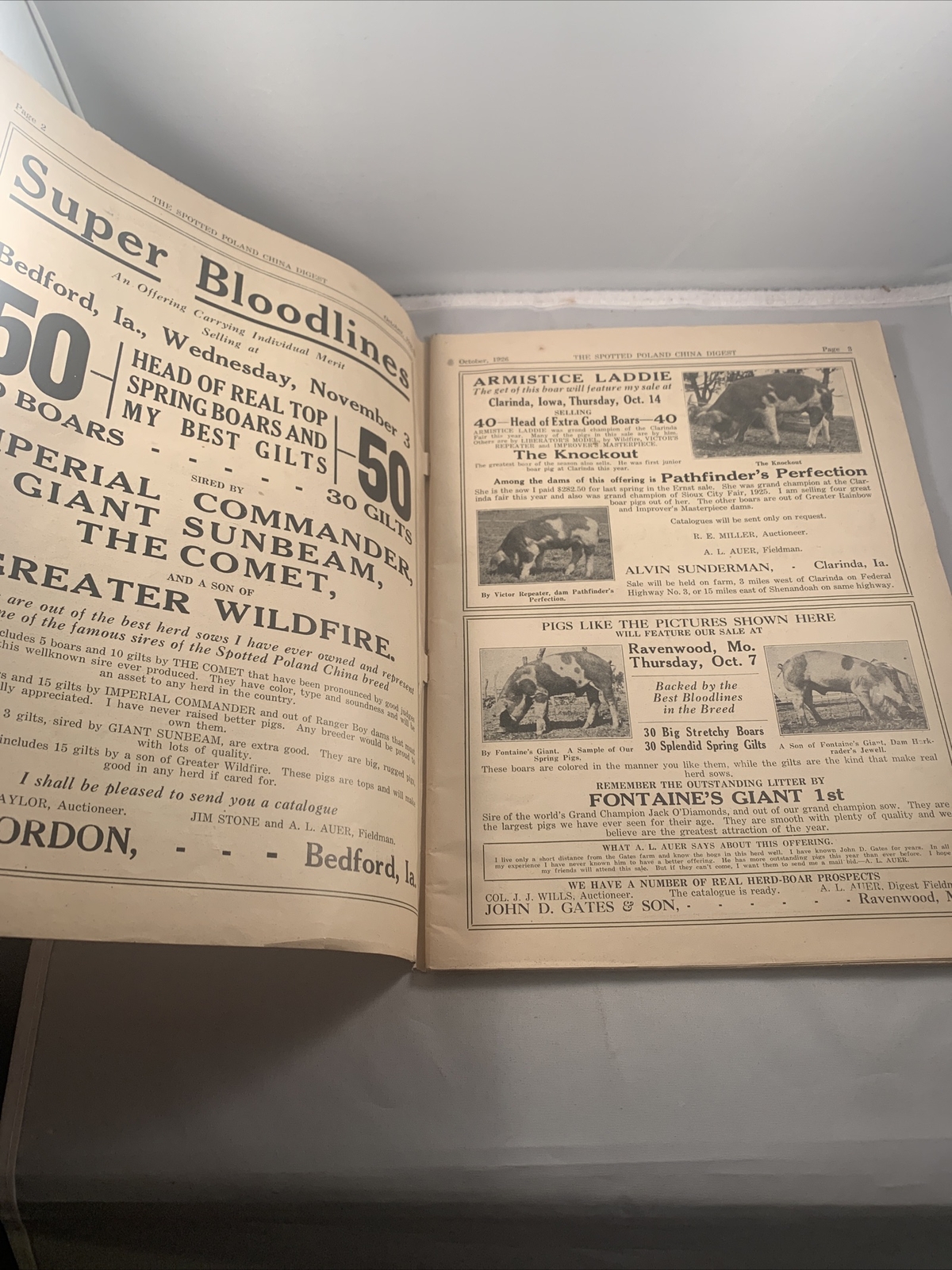 Spotted Poland China Pig Hog Digest October 1926 Missouri Kansas City Catalog