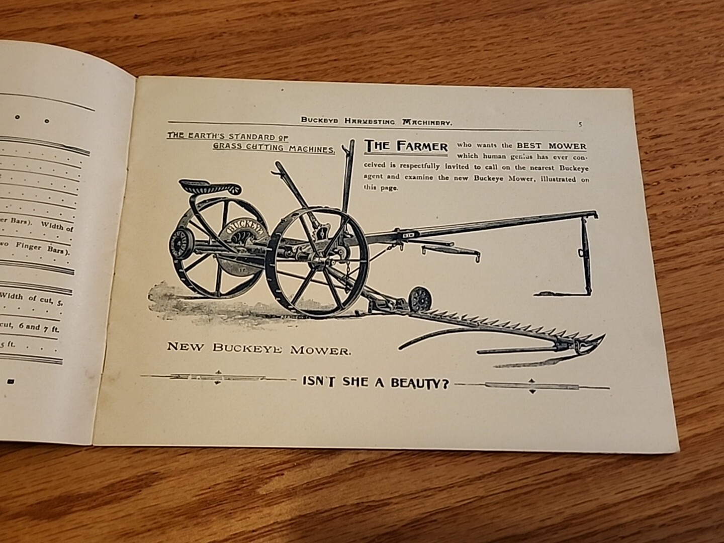1891 Buckeye Harvesting Machines Aultman Miller Co Catalog Farm Implements