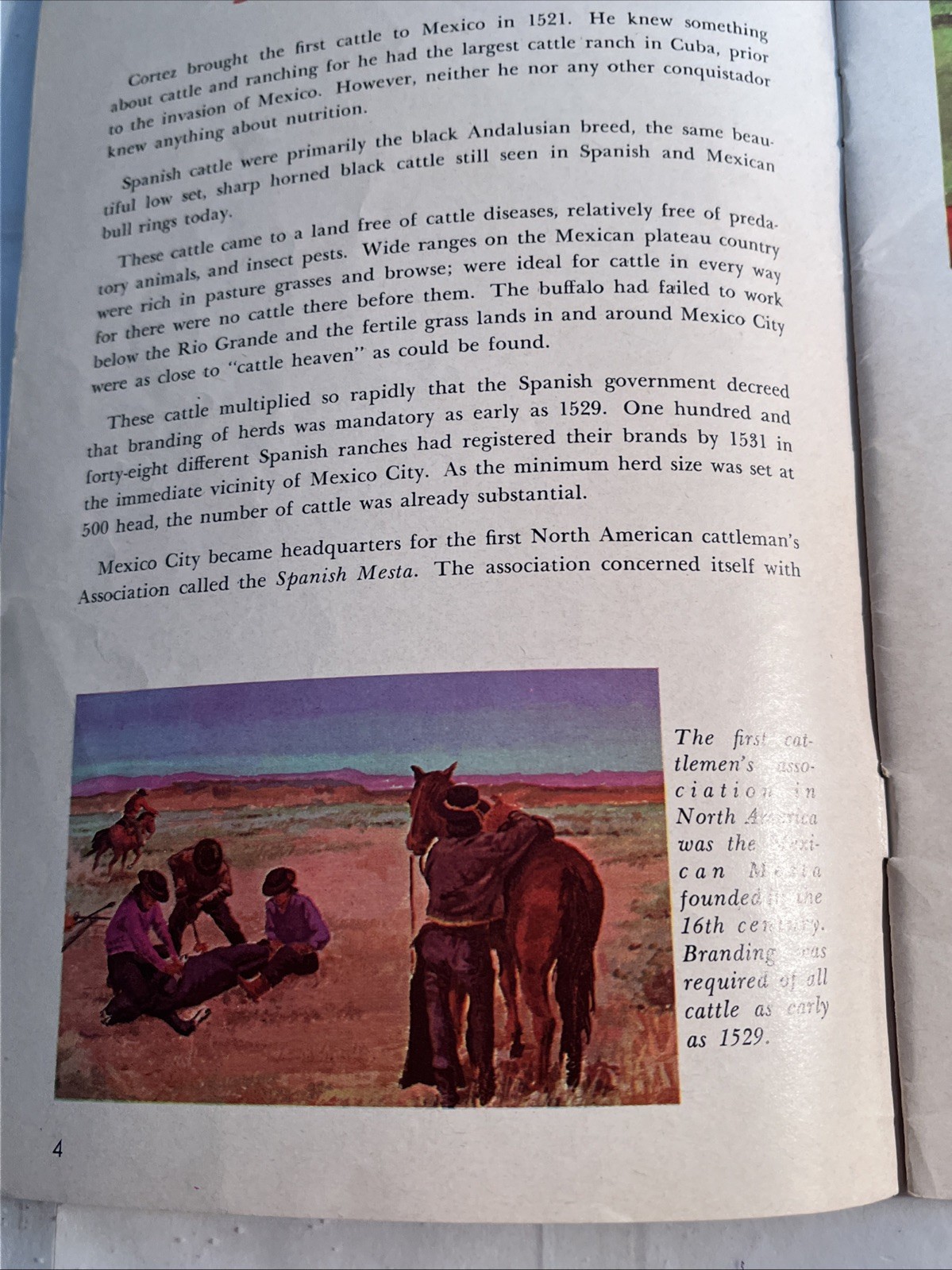 Vintage 1969 Albers Milling Co Raising Better Livestock Booklet, F-658-64
