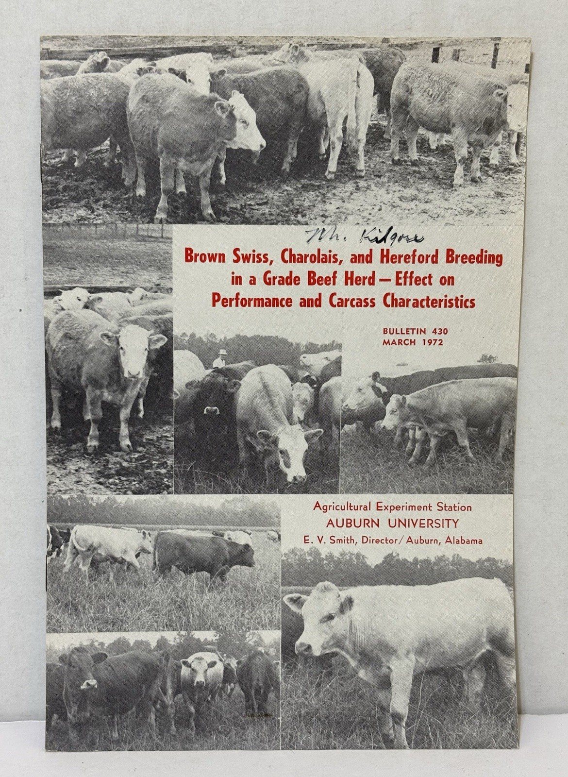 Vintage 1972 Cattle Booklet CHAROLAIS, BROWN SWISS & HEREFORD BREEDING EFFECTS
