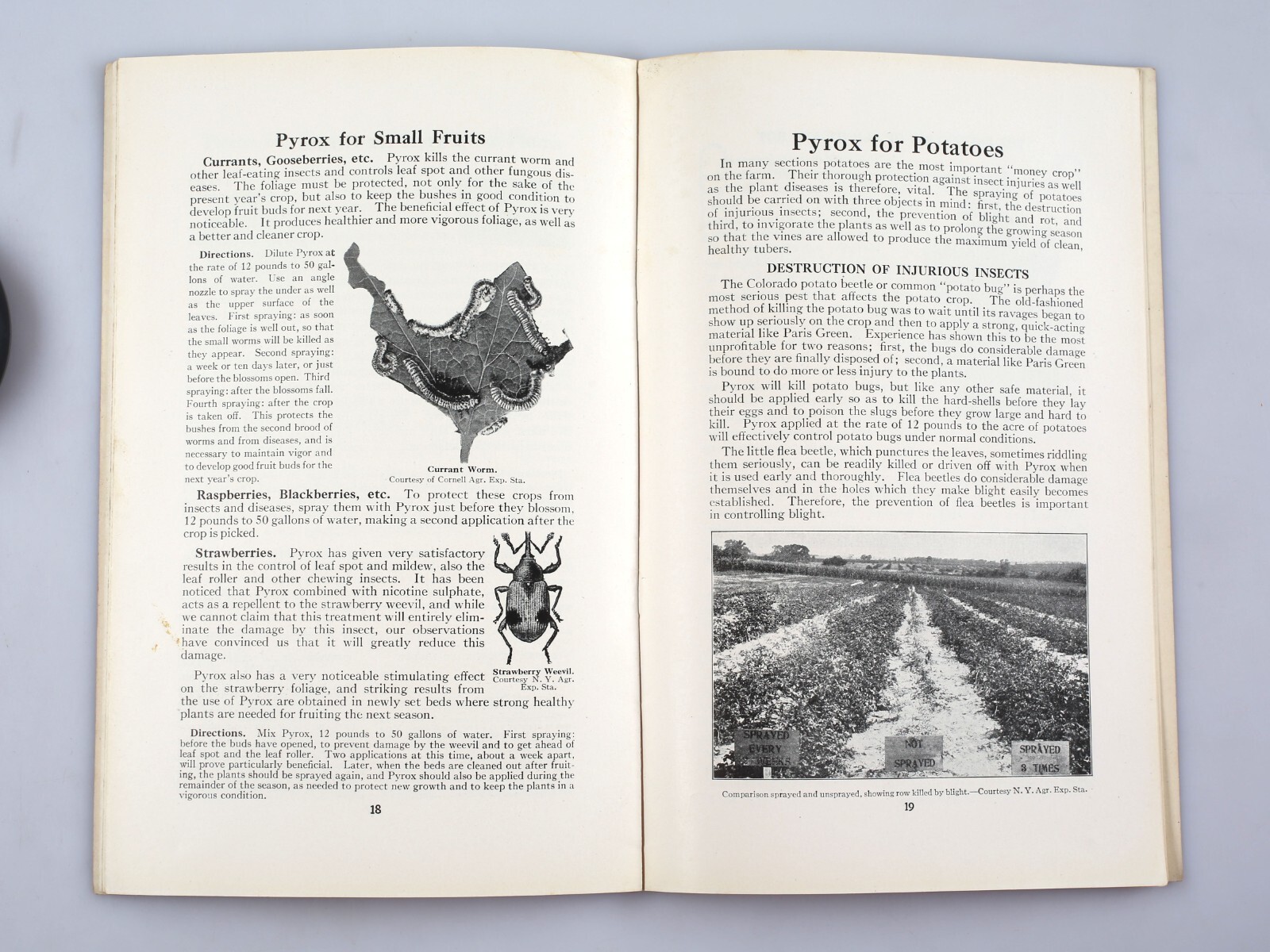 Vintage The Pyrox Spray Guide Bower Insecticide Co. Arsenate of Lead Poison