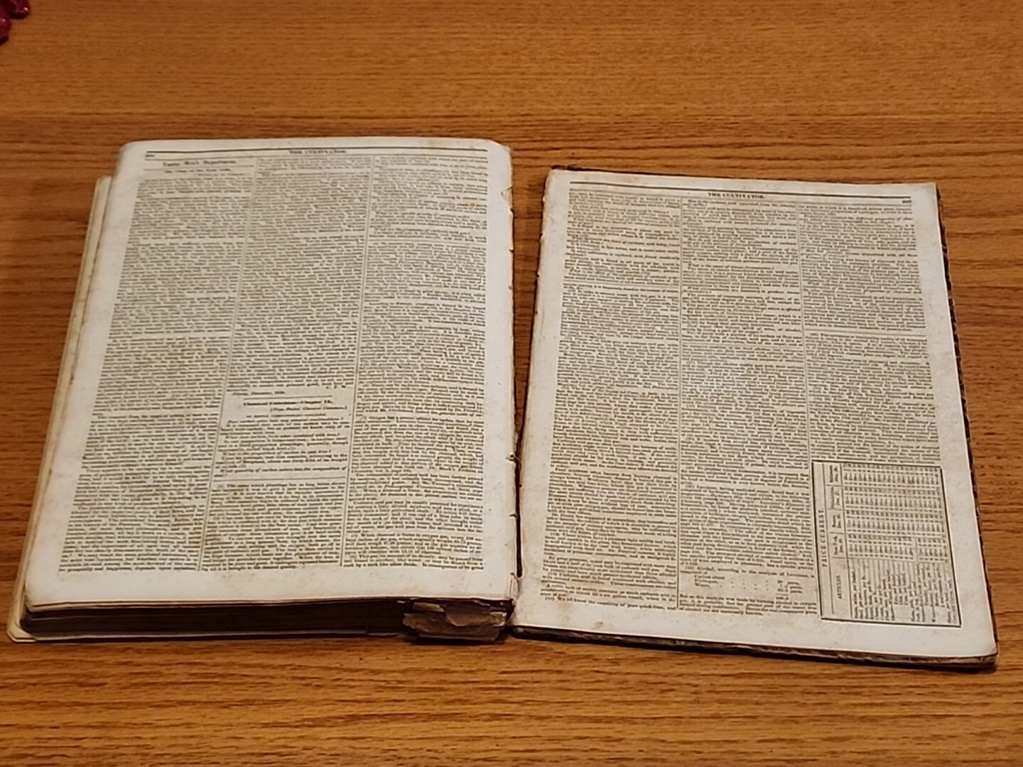 The Cultivator Monthly Journal Hardbound Book 1838