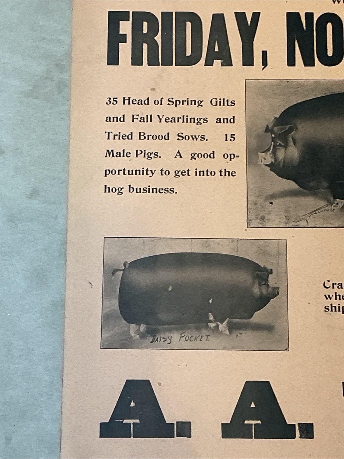 Antique 1910 Original Auction Poster China Hog Public Sale Ohio As Is INV-AC07Y