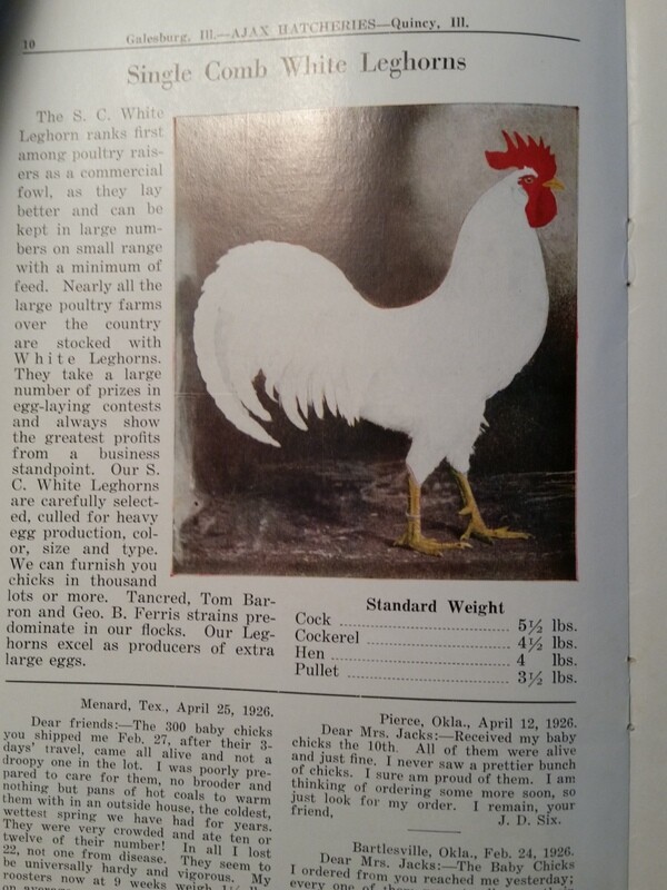 1927 Day-Old Baby Chicks Catalog Ajax Hatcheries Galesburg Quincy Illinois