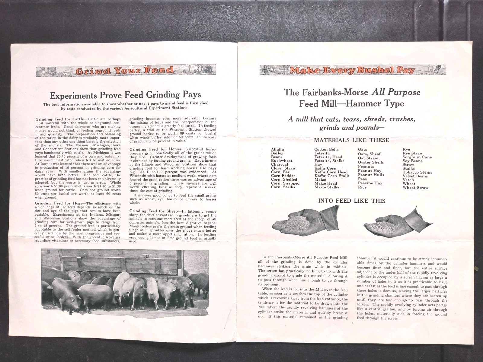 1920s FairBanks Morse Pressurized Water System Brochure Feed Mill Farming 2pc