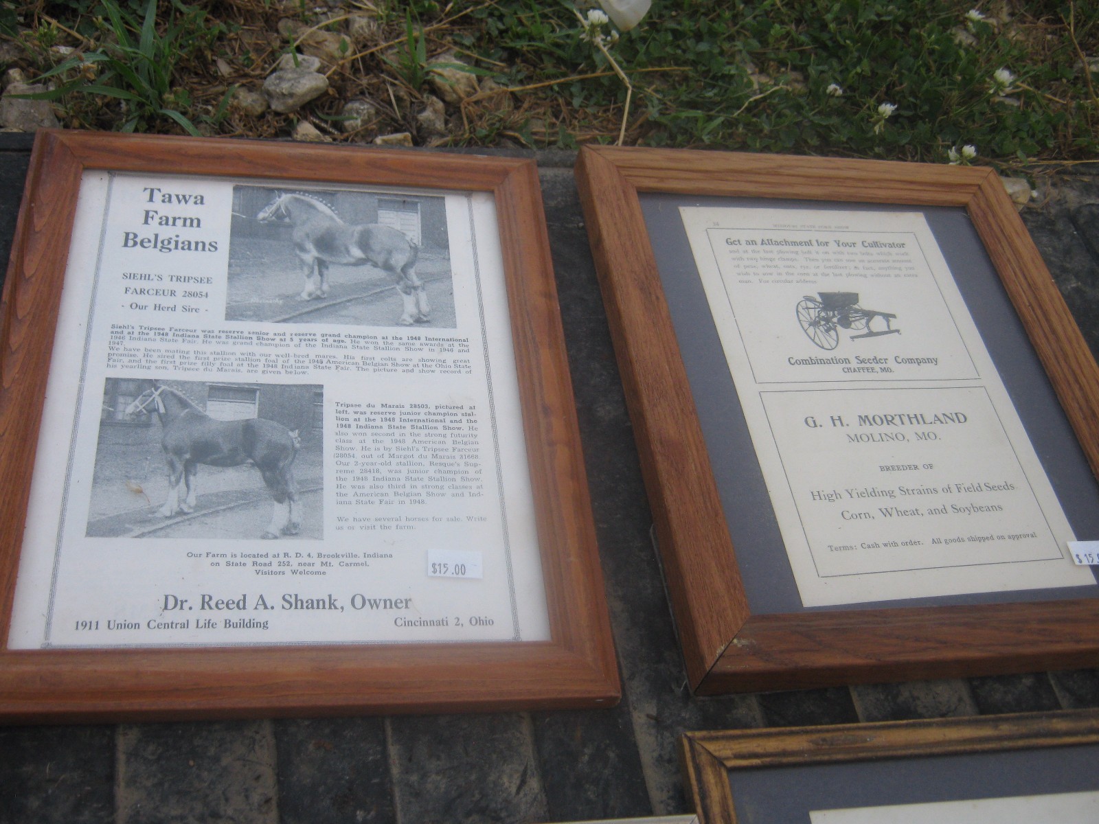 12 pcs VINTAGE Farm Clipping in a Glass Frames Good for decor