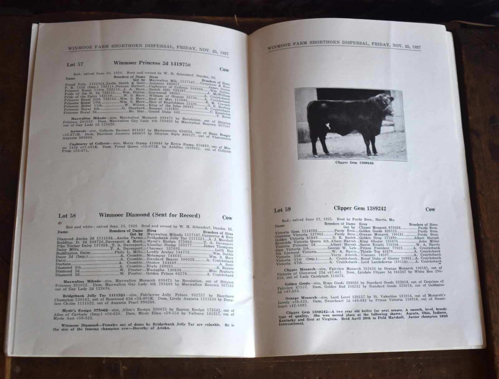 Vintage 1927 Shorthorn Cattle Auction Catalog Advertising Winmoor Farm Dundee IL