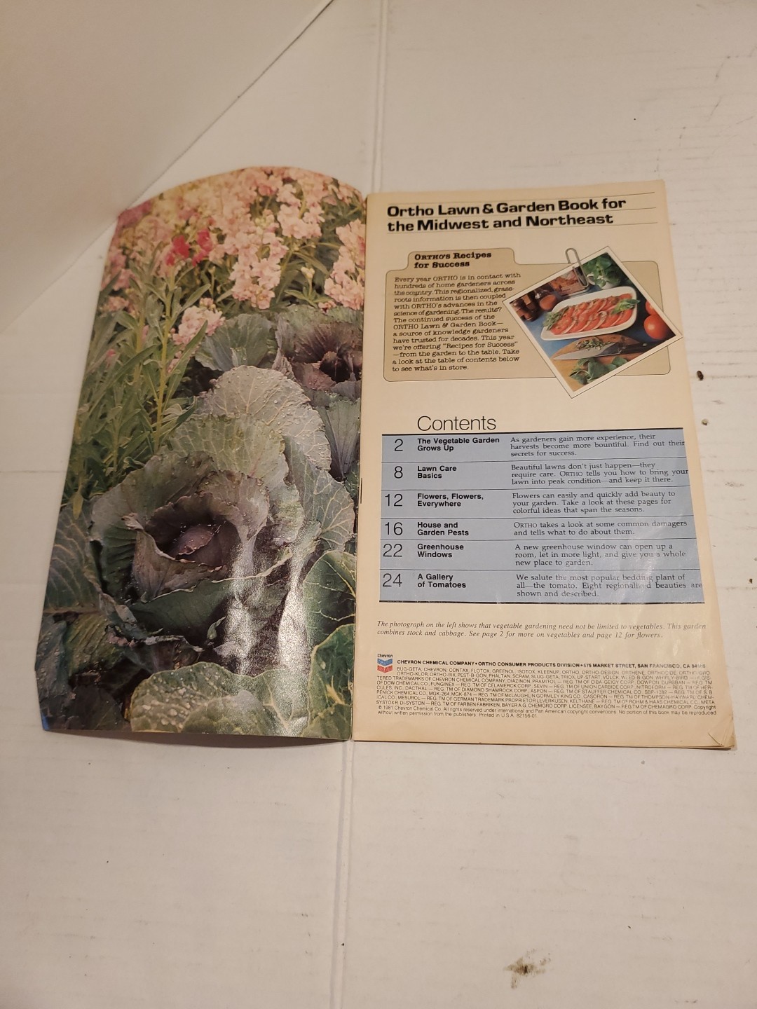 Vintage Chevron Ortho Lawn And Garden Books Lot 1982