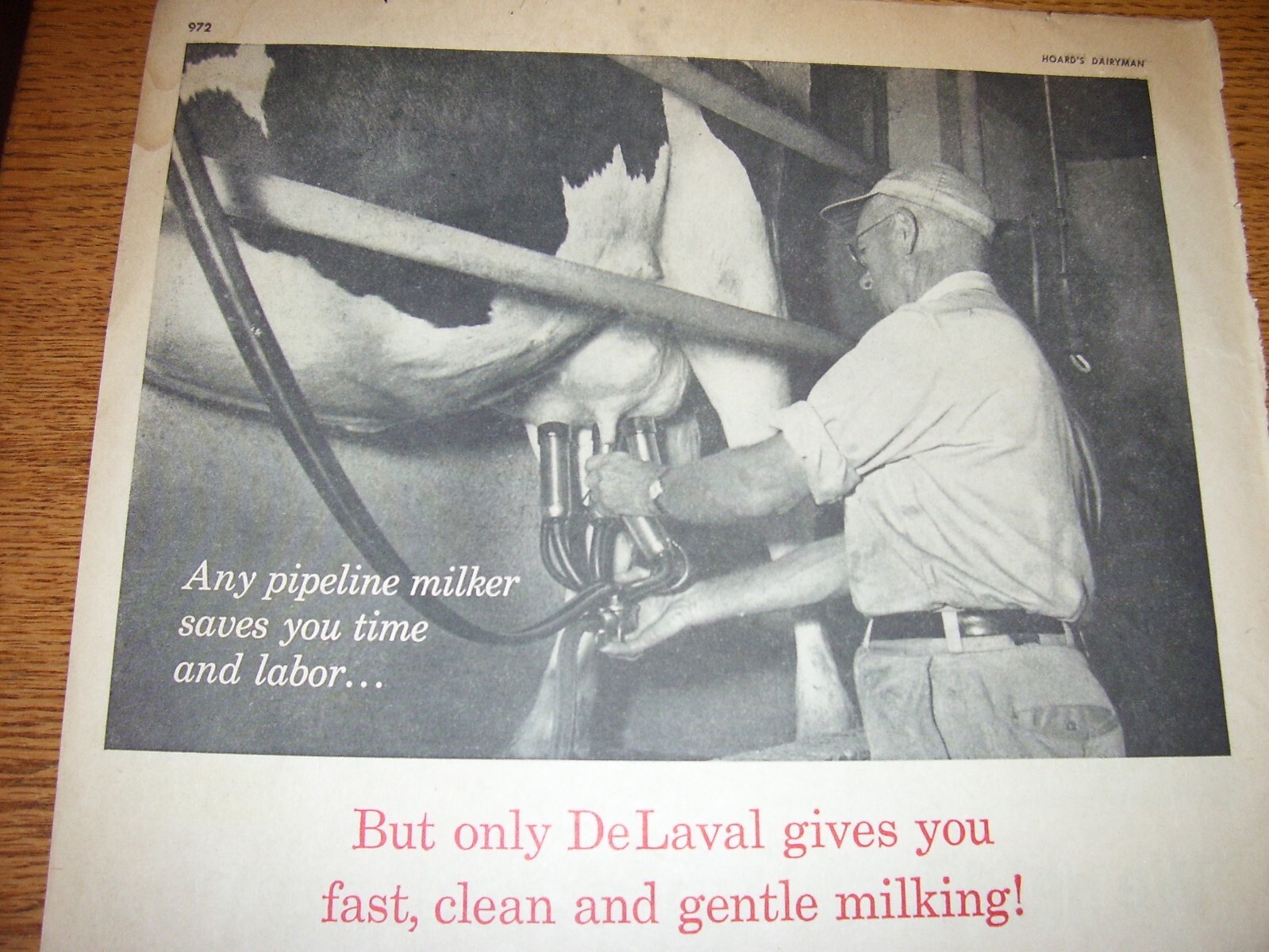 VINTAGE DE LAVAL CO ADVERTISING-PIPELINE MILKER SYSTEM -10&Prime; x 14&Prime; -1960