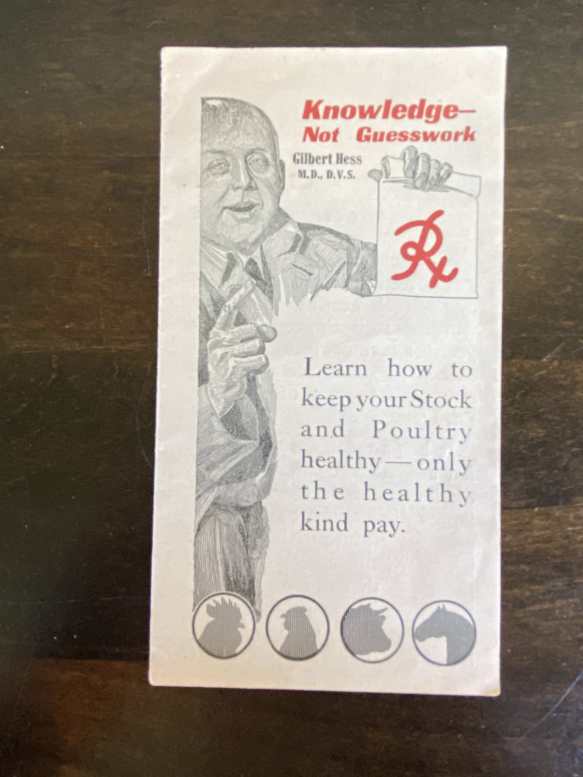 Vintage Brochure Gilbert Hess & Clark Poultry Horse Cow Tonic Vet Animal