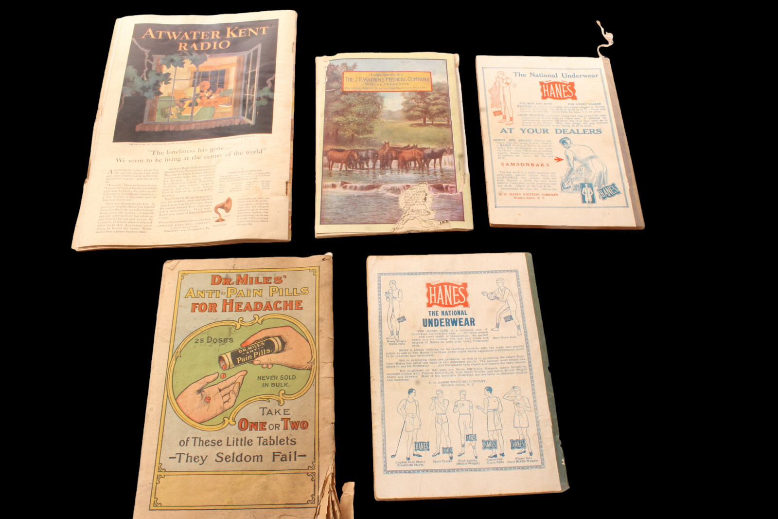 5 Antique Farmers & Dr Miles Almanac Watkins Stock Manual & Successful Farming