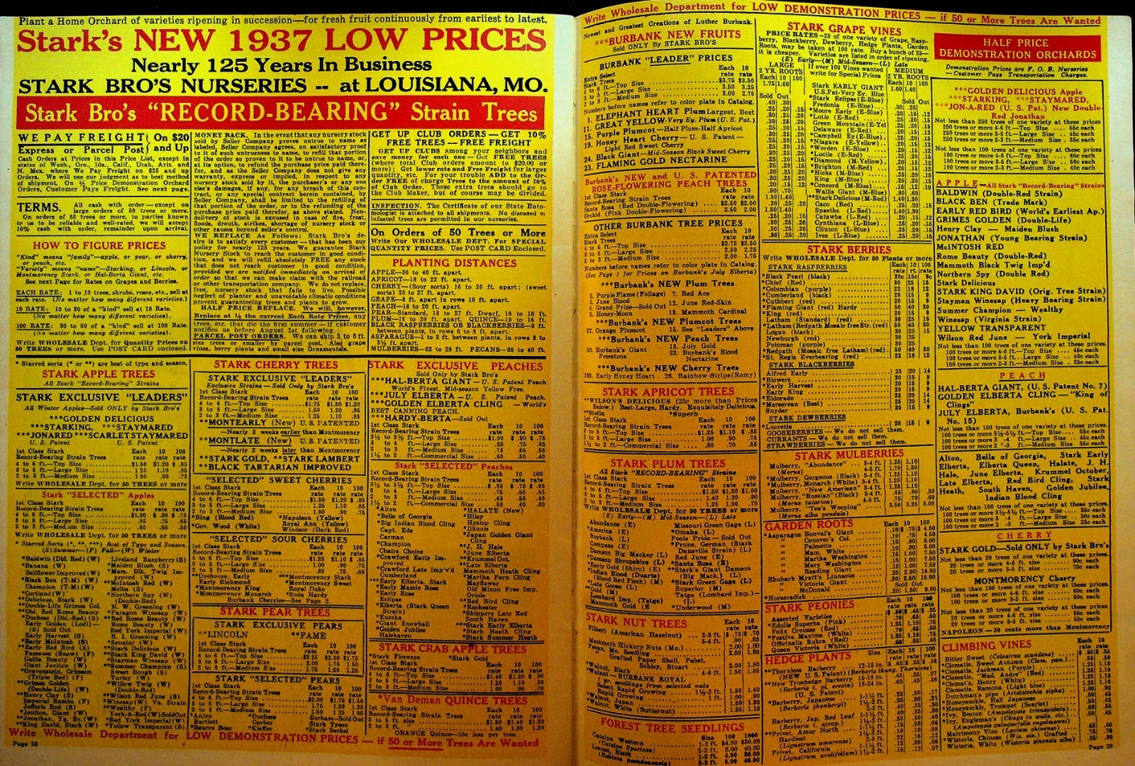 Stark 1937 Book of Fruits Catalog Stark Bros Nursery Louisiana Missouri