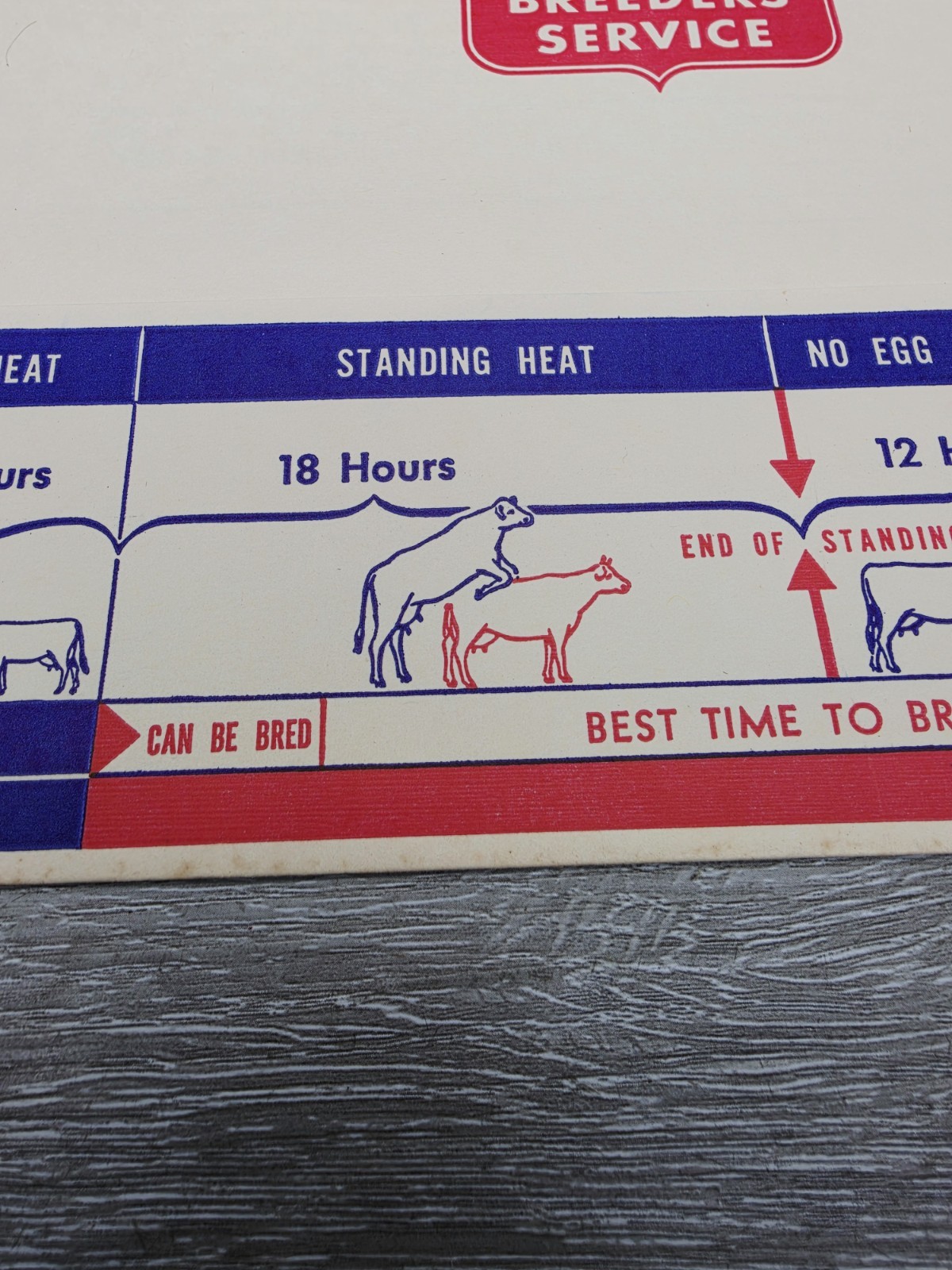 Rare 1957 American Breeders Service Folder Cow Breeding Schedule NOS Advert