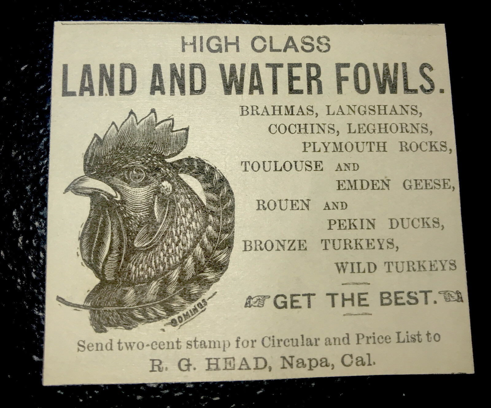 1884 Chicken Farm Advertising – Napa – California