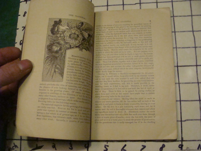PRACTICAL GARDEN POINTS by practical people w illustrations, 108pgs Undated OLD