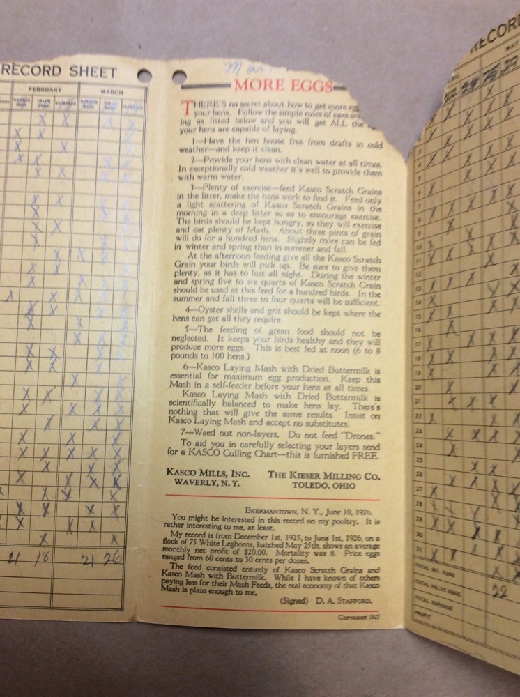 Kasco Egg Record Booklet FINV-P0352