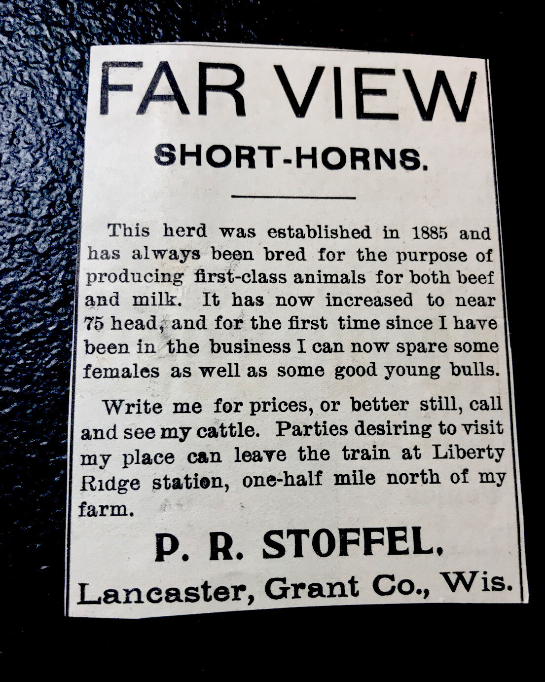 1900 Far View Farm Cattle Advertising – Lancaster – Pennsylvania – Cow
