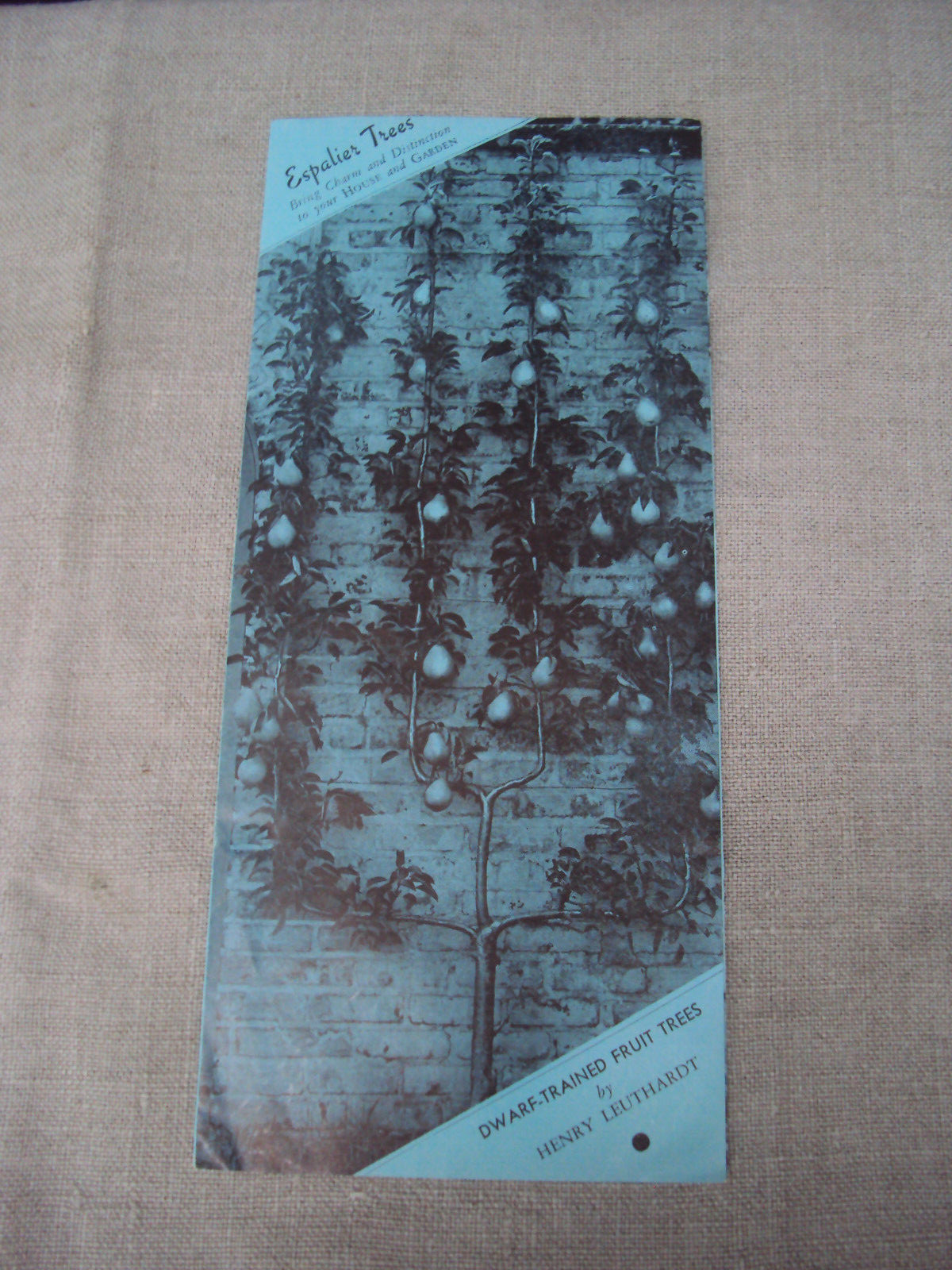 Scarce Vintage Folding Brochure Letter / Envelope Espalier Trees Henry Leuthardt