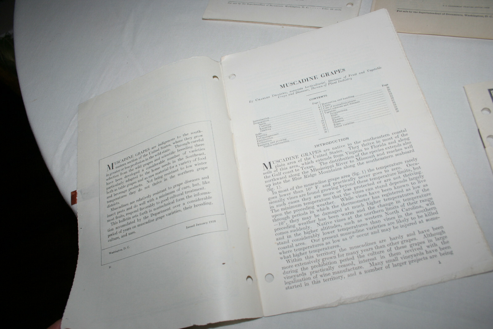 9 US Department of Agriculture lot of Farmer&rsquo;s Bulletin