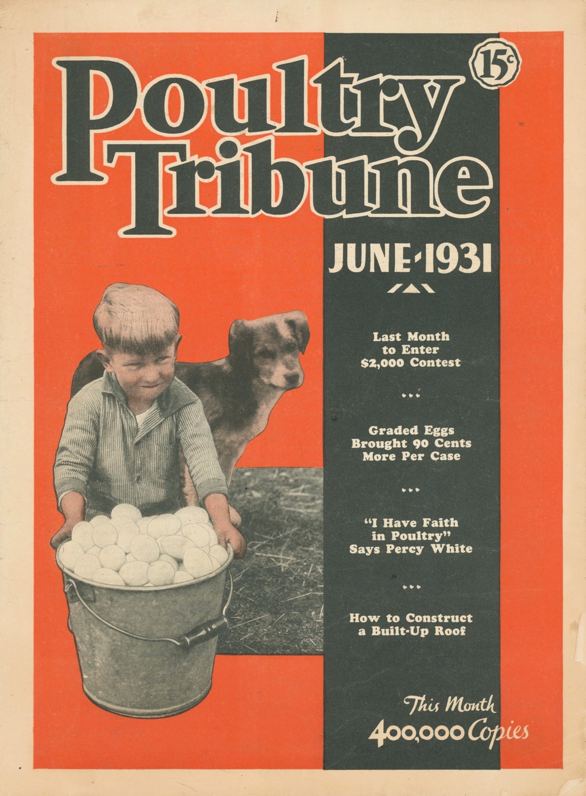 1931 June Poultry Tribune Chicken Farm Eggs Coop Chicks Advertising Magazine USA