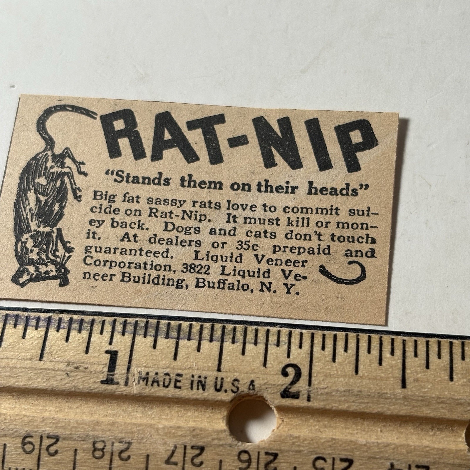 1927 Rat-Nip Vintage Magazine Print Ad Old 20s Farming Rats Pest Mice Control NY