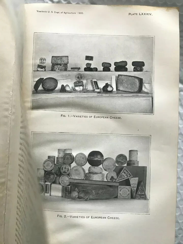 DEPARTMENT OF AGRICULTURE 1900 YEARBOOK WITH GRAPHS PHOTOS VINTAGE VERY RARE