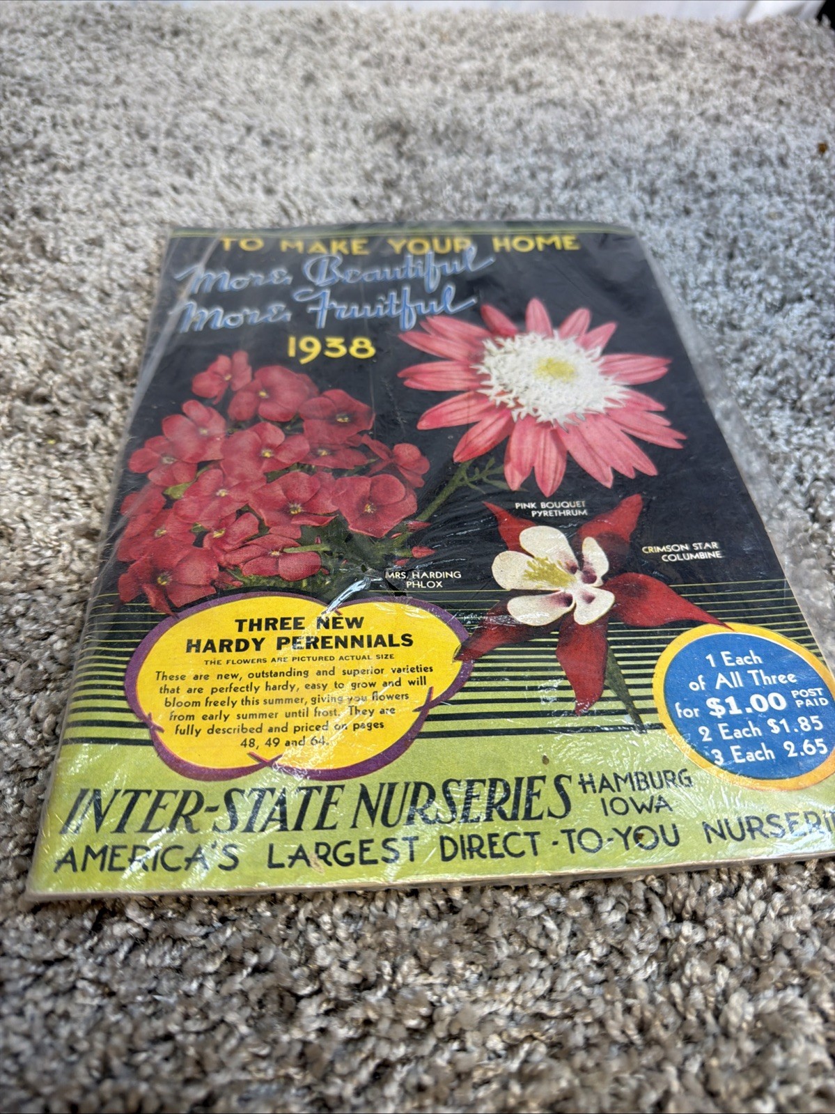 1938 Inter-State Nurseries Catalog 28 Color Pages Fruits Flowers Vegetables OHIO