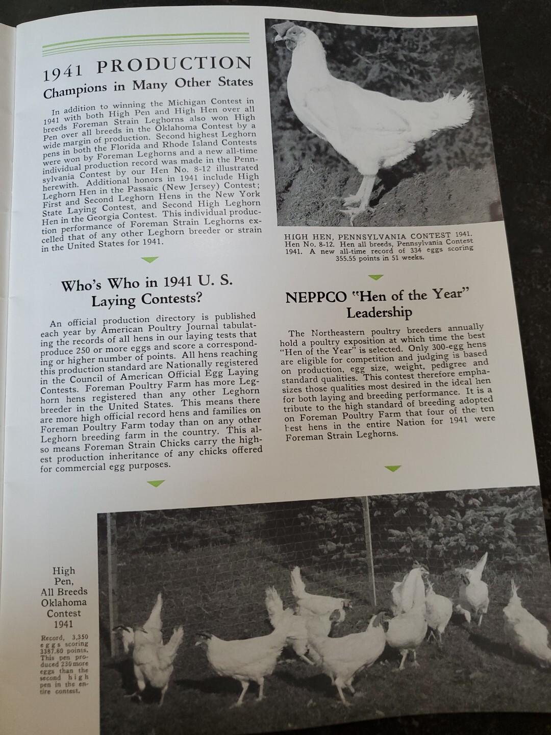 1944 Foreman Poultry Farm Catalog Chickens Beautiful & RARE 🐔