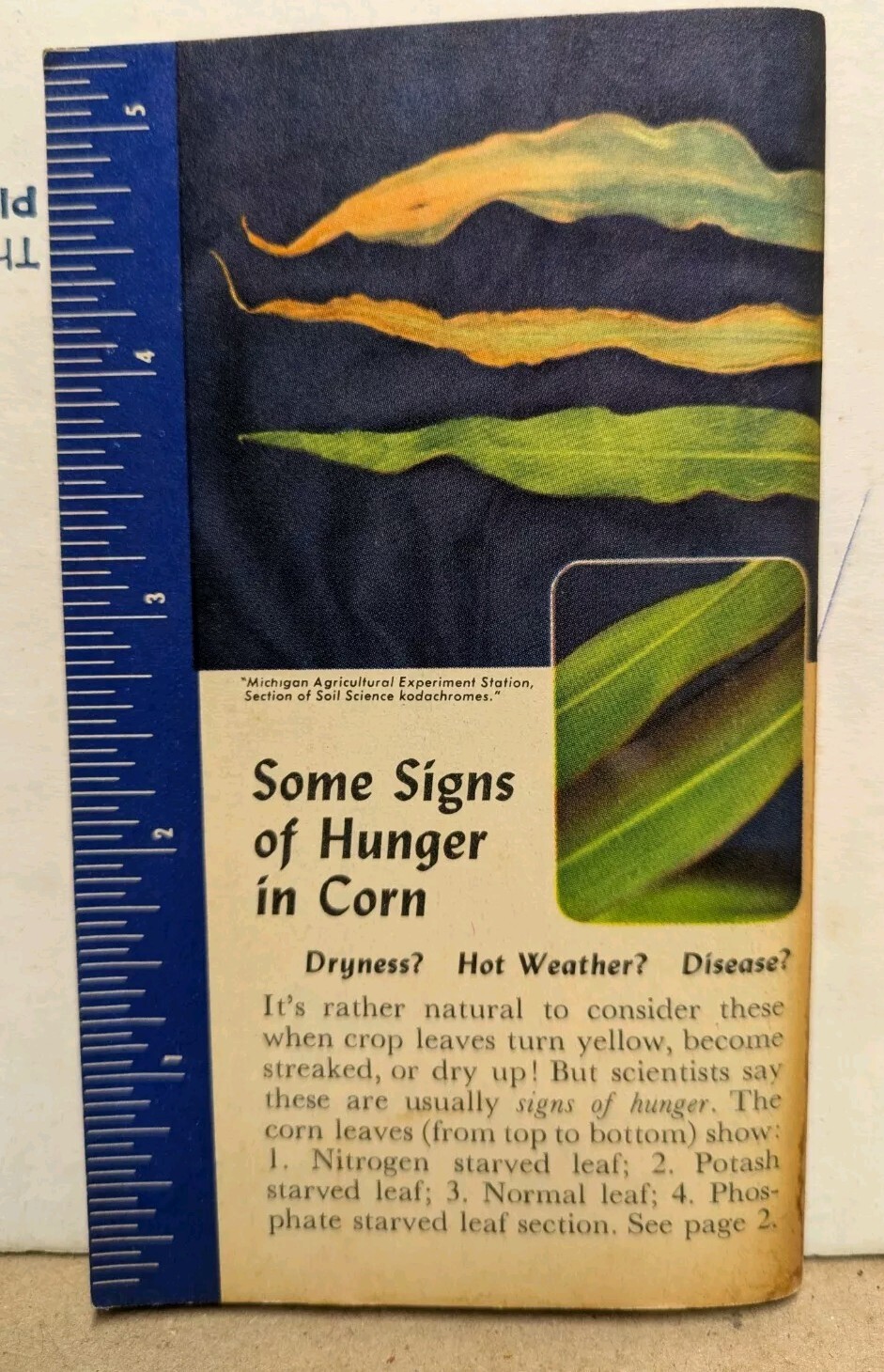 1954-1955 Swift&rsquo;s Plant Food Service Red Steer Memo Book Vigoro Brimm Gold Bear