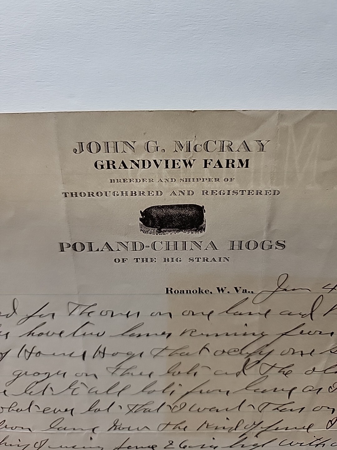 1916 JOHN McCRAY GRANDVIEW FARM POLAND-CHINA HOGS Letterhead / 1123-tf2