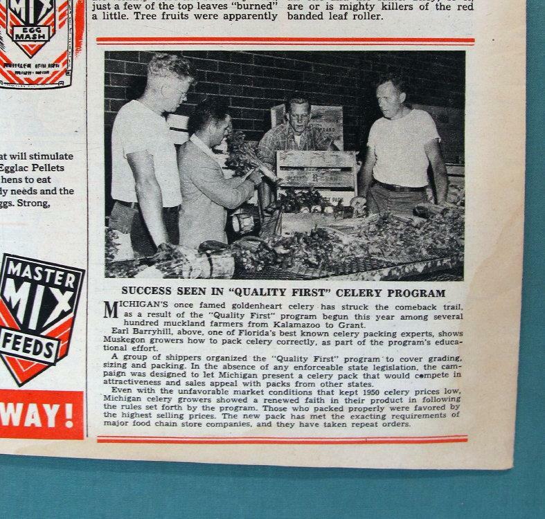 Orig 1950 Farmlife Photo Article features Earl Barryhill of Florisa Celery Ace