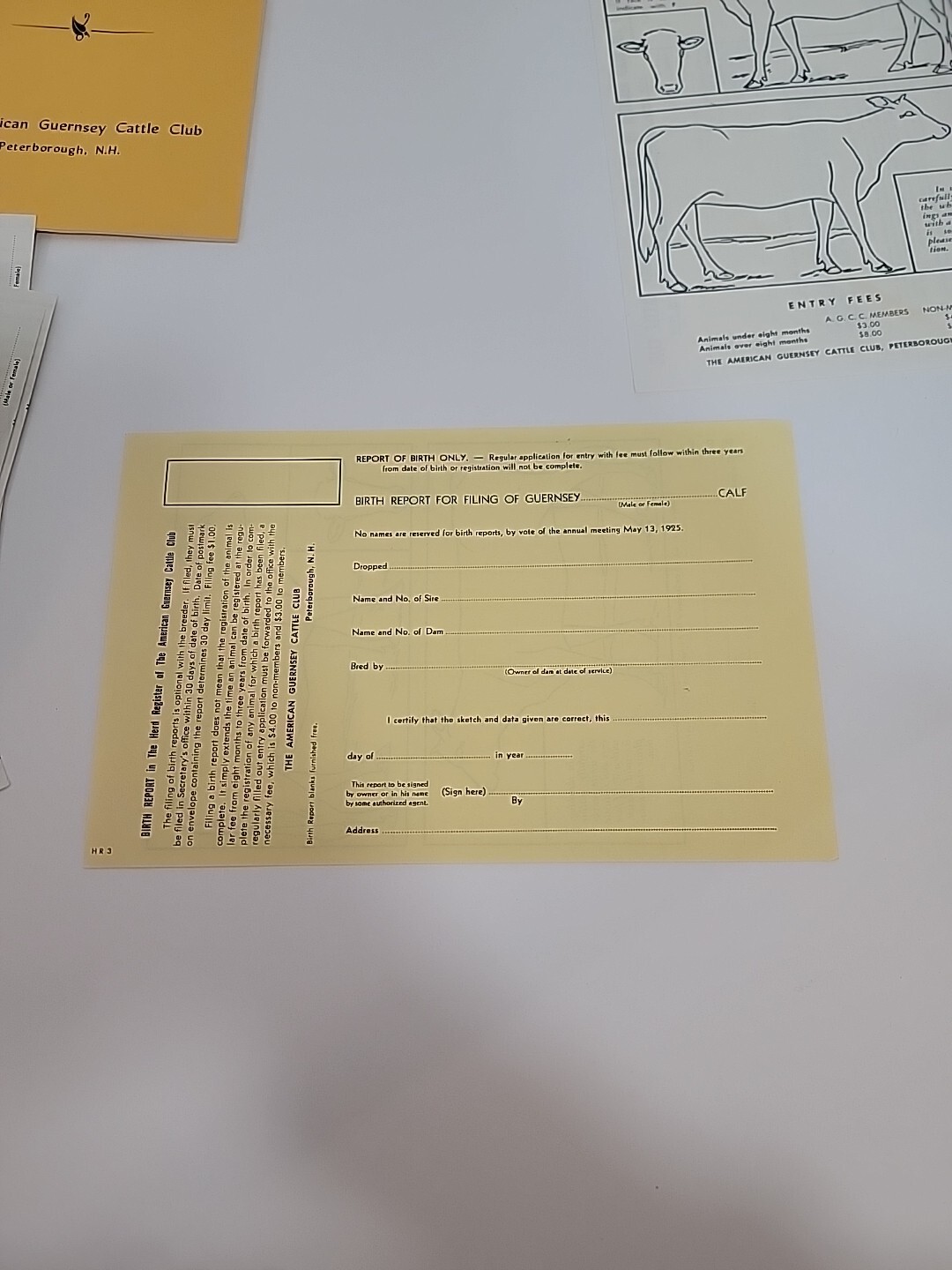The A B C of Registering your Guernseys Packet, American Guernsey Cattle Club AG