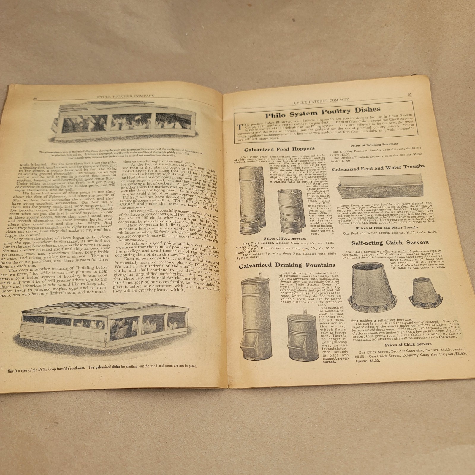1912 Poultry Profits Philo System Cycle Hatcher Company Chicken