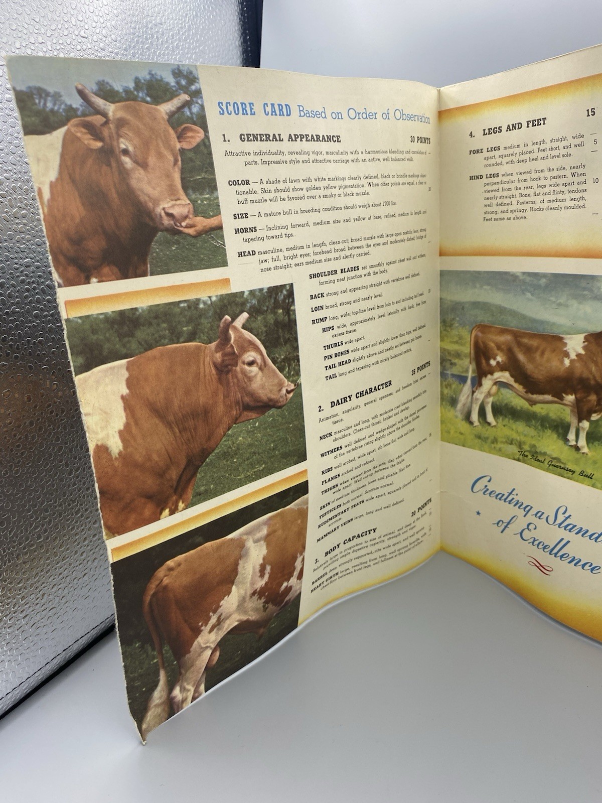 American Guernsey Cattle Club Booklet « Creating a Standard of Excellence »