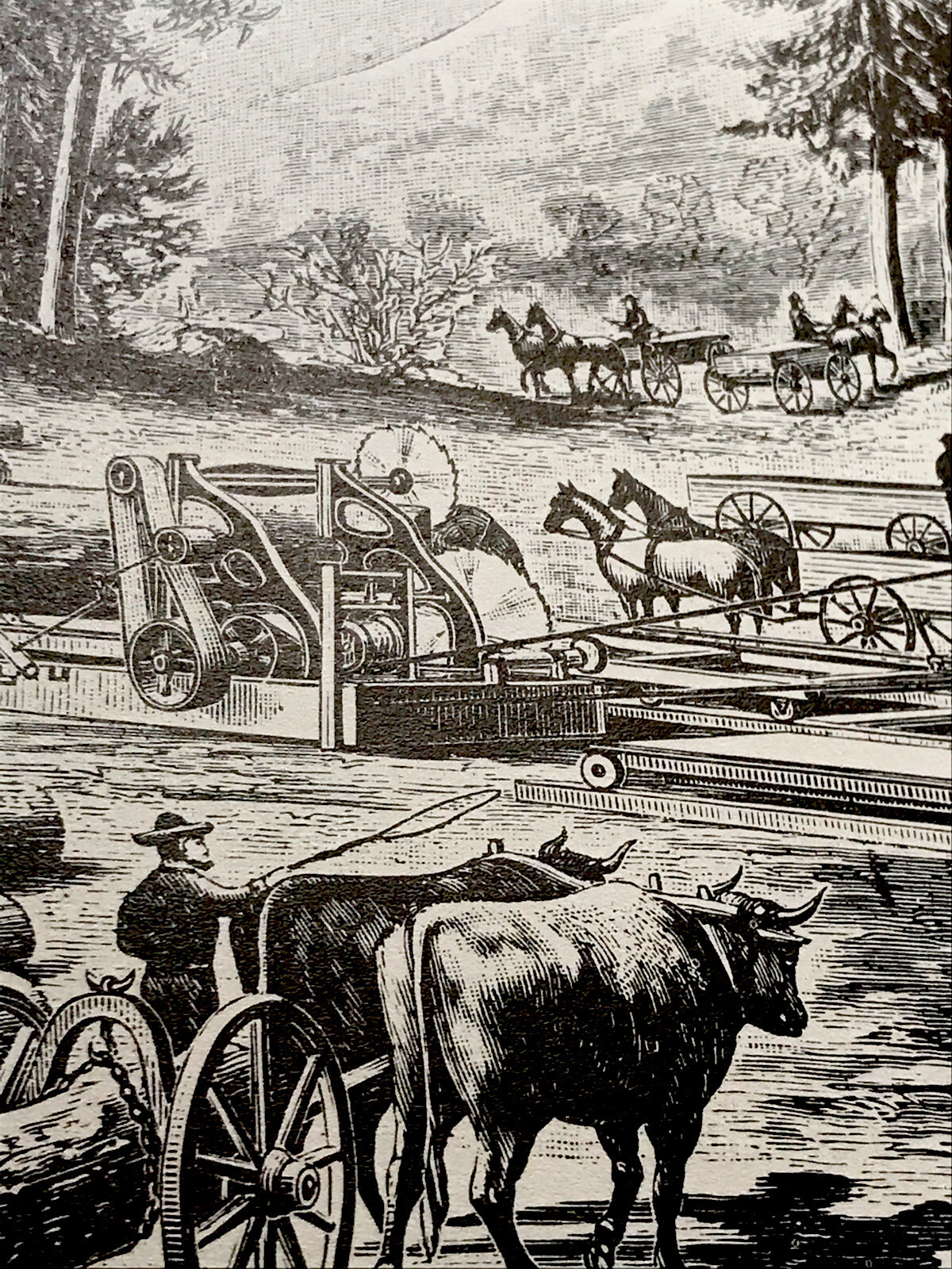 1882 J.I. Case Saw Mill & 1884 Portable Case Saw Mill Engraving Advertising