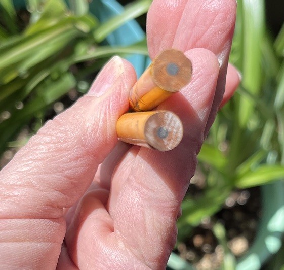 2 Future Farmers of America Vtg FFA Pencils Barn Silo Agriculture Unsharpened