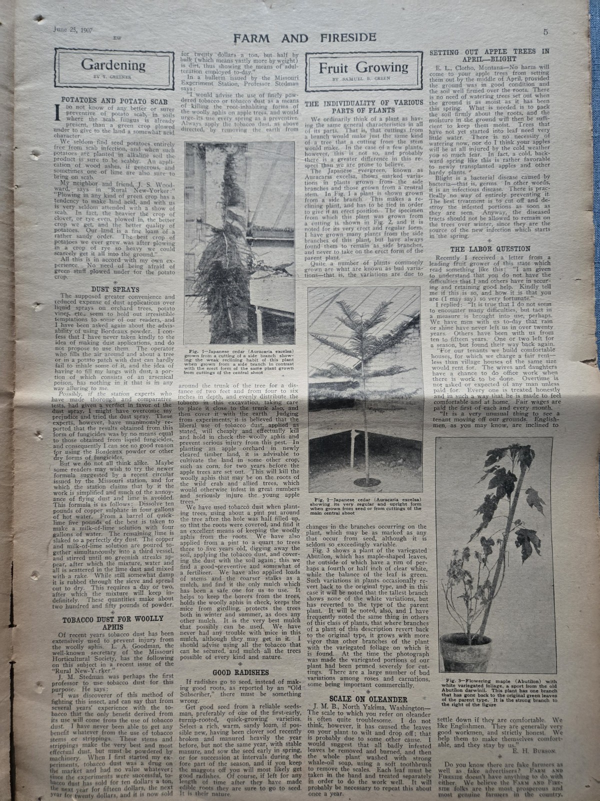 Farm & Fireside Newspaper – Antique Agriculture 1907 Articles Ads Illustrations