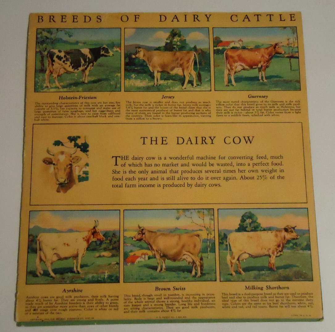 1934 ADVERTISING CALENDAR DE LAVAL SEPARATOR BEAUTIFUL CONDITION